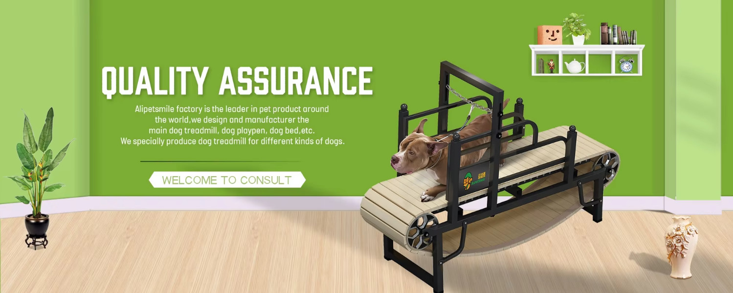 Tapis de course pour chien