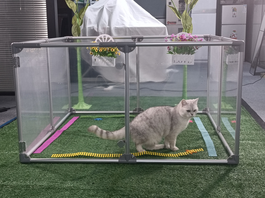 Pet Playpen Kennel dans le style de la mode maison avec revêtement en poudre et électrophorèse