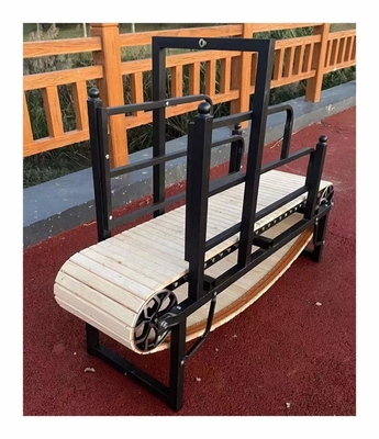 Tapis de course pour chien recouvert d'électrophorèse et équipement de course pour chien sûr