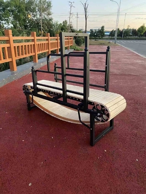 Tapis de course pour chien recouvert d'électrophorèse et équipement de course pour chien sûr