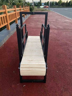 Tapis de course pour chien recouvert d'électrophorèse et équipement de course pour chien sûr