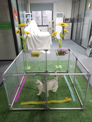 Plateau de jeu de sécurité acrylique détachable pour gros chats et chiens