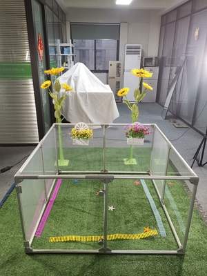Plateau de jeu de sécurité acrylique détachable pour gros chats et chiens