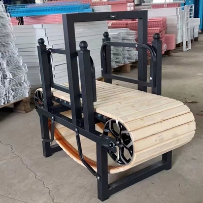 Électrophoresis Finition du tapis roulant pour chien pour l'entraînement des pitbulls 175cm*52cm*130cm Taille
