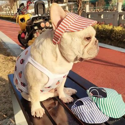 Chapeau de mode pour animaux de compagnie Logo Chapeau pour animaux de compagnie Chapeau populaire Chapeau de chiot Chapeau populaire Petit chien Accessoires mignons