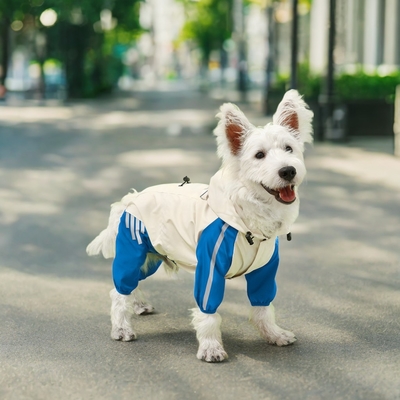Reflecteur imperméable à l'eau pour chiens de compagnie à quatre pattes