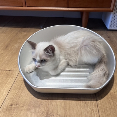 Le lavage à la main de la grande litière de chat pour animaux de compagnie est un modèle solide de nettoyage manuel