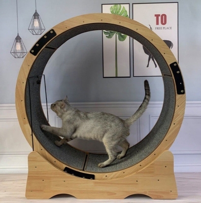 Cadre d'escalade de chat en carton fibreux tapis roulant pour chat exercice silencieux jouet de course pour chats