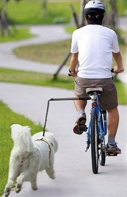 Pet en plein air en course à vélo laisse de chien mains libre laisse de vélo pour chiens noirs