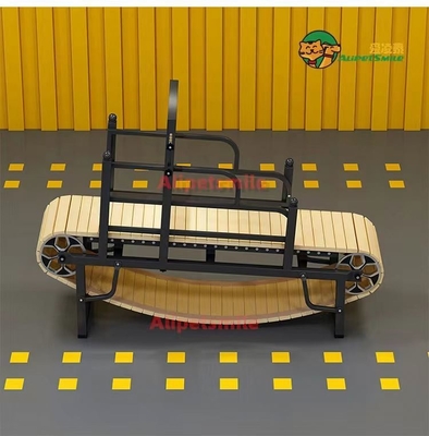 Slatmill pour chiens de formation d'animaux de compagnie en acier inoxydable tapis roulant pour chien motorisé sur mesure