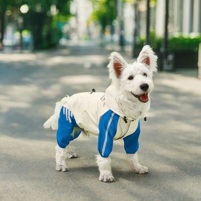 Vêtements pour animaux de compagnie imperméable à l'eau manteau de pluie animal modèle petite taille pour chiens été/printemps