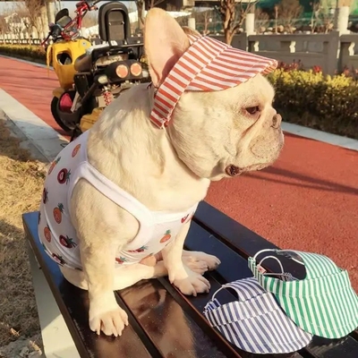 Un bonnet pour chien à l'extérieur avec trous pour les oreilles