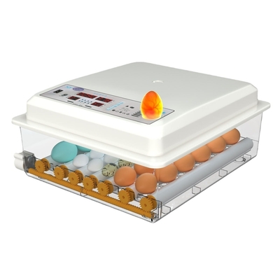20 GP Chargement 70 ensembles d'incubateur à œufs de poulet entièrement automatique pour l'élevage de volailles