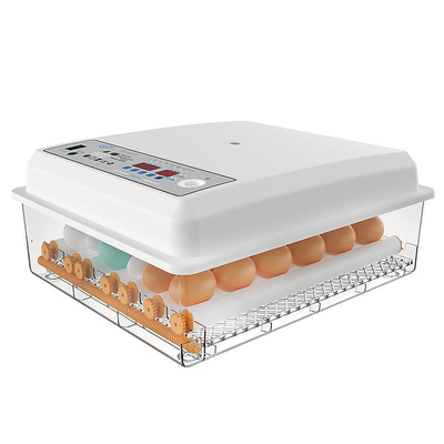 20 GP Chargement 70 ensembles d'incubateur à œufs de poulet entièrement automatique pour l'élevage de volailles