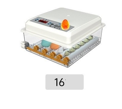 20 GP Chargement 70 ensembles d'incubateur à œufs de poulet entièrement automatique pour l'élevage de volailles