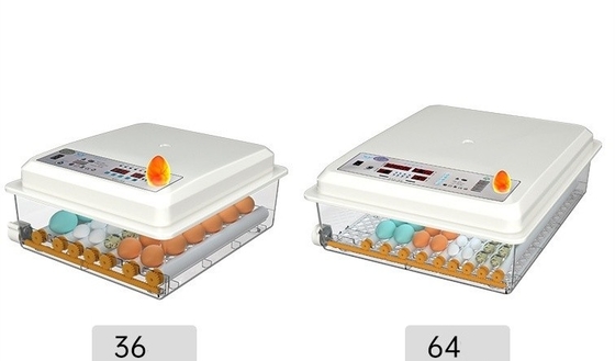 20 GP Chargement 70 ensembles d'incubateur à œufs de poulet entièrement automatique pour l'élevage de volailles