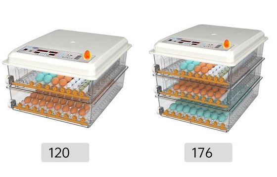 20 GP Chargement 70 ensembles d'incubateur à œufs de poulet entièrement automatique pour l'élevage de volailles