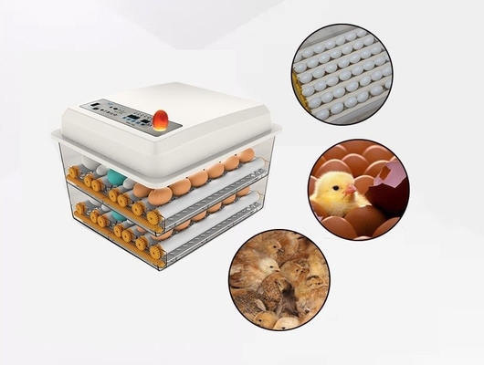 16 œufs mini-incubateur automatique numérique pour autres produits pour animaux de compagnie dans le port de navigation