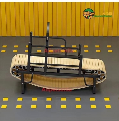 Le tapis roulant durable pour chiens pour des techniques efficaces de dressage des animaux de compagnie 20 GP Chargement 10 tonnes