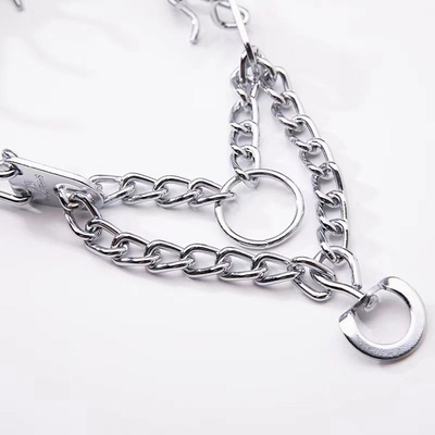 Collier argenté pour chien pour l' entraînement des animaux de compagnie Aheasoun Prong Collier Choke Collier Pinch Collier
