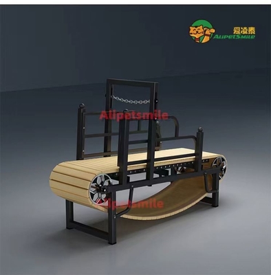 Grand tapis roulant pour chiens pour l'entraînement quotidien des animaux de compagnie