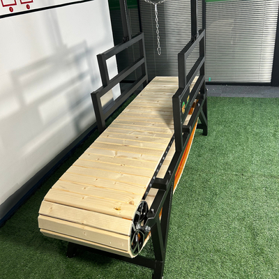 Le tapis roulant pour animaux de compagnie le plus sûr pour que votre chien fasse du sport
