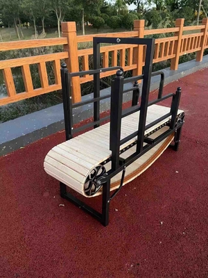 Couche en poudre tapis de course pour chien de taille S/M/L Chiens Exercice en plein air Pet Running Machine
