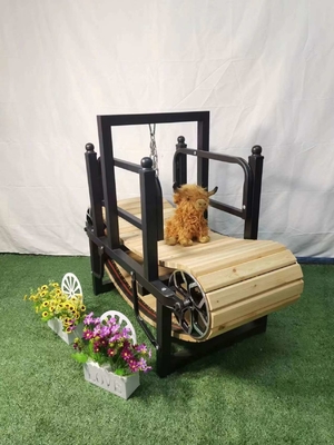 Équipement d'exercice manuel pour chiens de petite taille avec poids personnalisé et épaisseur de 0,30 mm