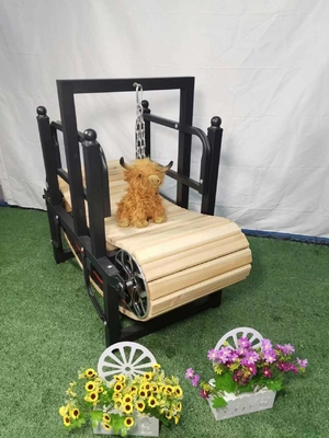 Équipement d'exercice manuel pour chiens de petite taille avec poids personnalisé et épaisseur de 0,30 mm