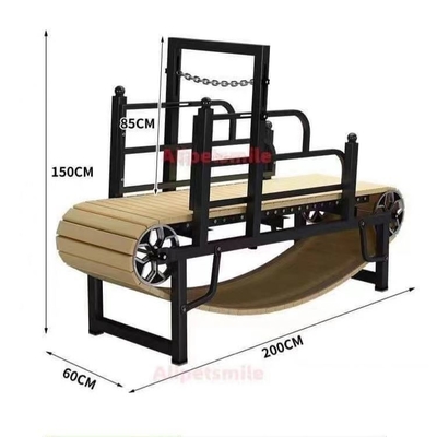 Mettez vos grands chiens en forme avec un tapis roulant pour chiens