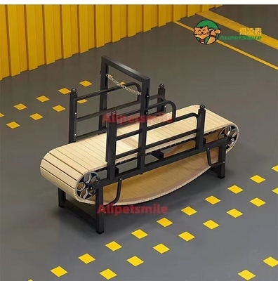 Mettez vos grands chiens en forme avec un tapis roulant pour chiens