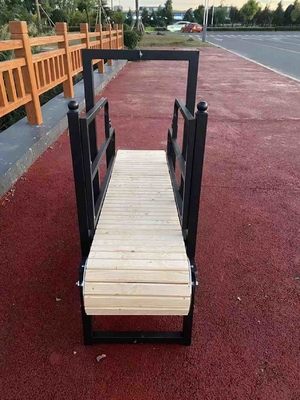 Grand tapis roulant pour chien pour l'entraînement Poids SAP personnalisé et matériau en acier / aluminium