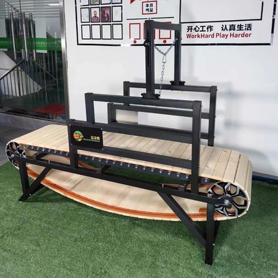Le tapis roulant pour animaux pour chiens et animaux de compagnie