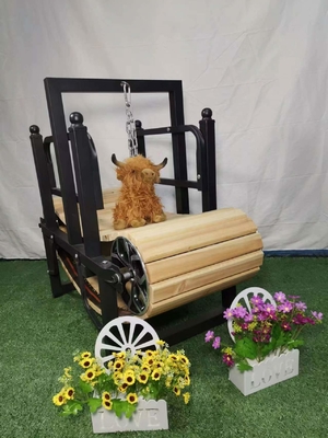 Le tapis roulant pour animaux pour chiens et animaux de compagnie