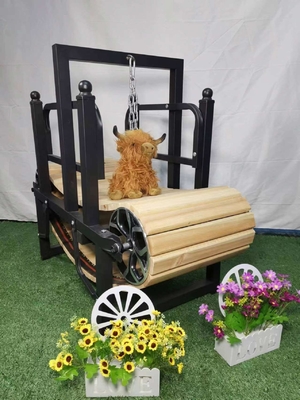Marché américain Tapis roulant pour chien Machine de marche en bois pour animaux d'élevage Electrophoresis en aluminium