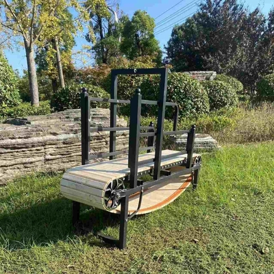 Machine à courir pour chien revêtue de poudre sablée pour l'électrophorèse d'exercice en intérieur