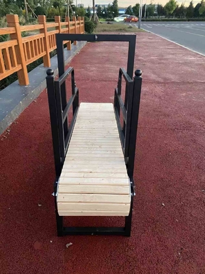 Machine à courir pour chien revêtue de poudre sablée pour l'électrophorèse d'exercice en intérieur