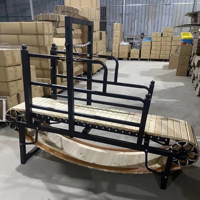 Découvrez les avantages de notre tapis roulant pour chiens