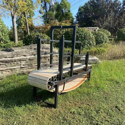 Équipement de promenade durable pour chiens tapis roulant pour animaux de compagnie avec électrophorèse et conception