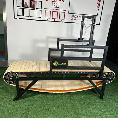 Tapis roulant pour animaux de compagnie intérieur avec un logo et des performances personnalisés en acier inoxydable