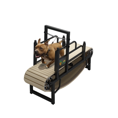 Tapis de course pour chien en acier inoxydable pour les pitbulls