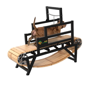 Grand tapis roulant pour chien avec matériau en alliage Taille personnalisée de Shanghai ou du port de Nanjing