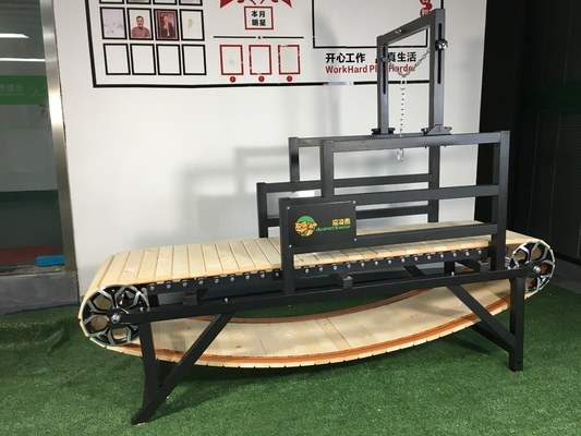 Alipetsmile 2e génération tapis roulant pour chiens La solution parfaite pour les besoins d'exercice des grands chiens