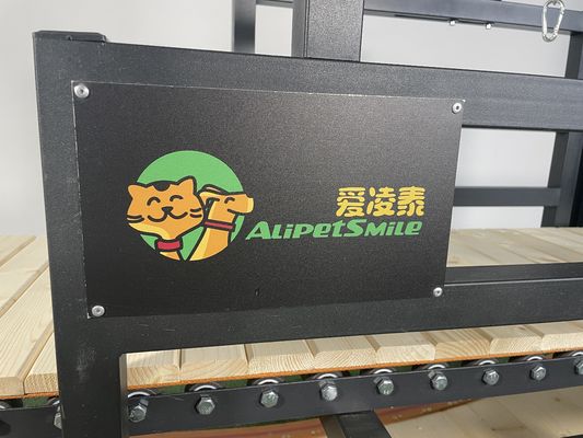 Machine de tapis roulant pour chiens en acier inoxydable de couleur personnalisée pour les grands chiens