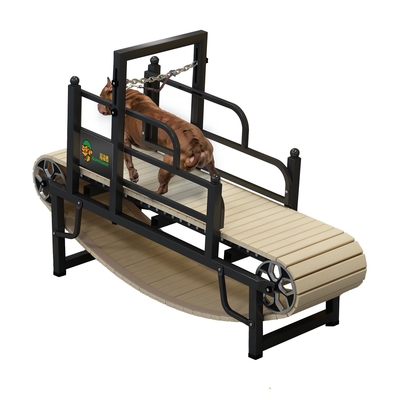 Alipetsmile machine de course Pit Bull entraînement d'animaux de compagnie tapis roulant pour gros chiens