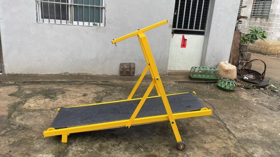 Machine d'entraînement en fer réglable pour chiens de course, tapis roulant en fer coloré pour animaux de compagnie pour grands chiens