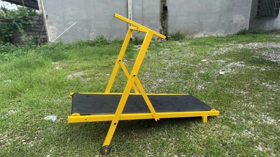 Équipement d'entraînement pour animaux de compagnie sûr et durable tapis roulant pliant pour gros chiens accepte OEM ODM