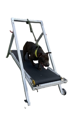 Moulin à tapis en aluminium moyen et grand pour chien pour la course et l'entraînement Acceptable Option OEM ODM
