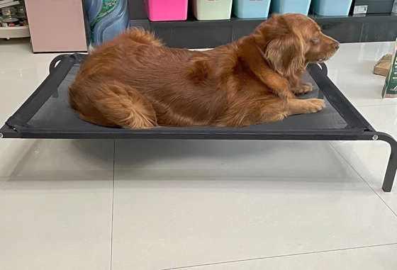 Lit de chien pliable portable noir respirant pour petits et moyens chiens