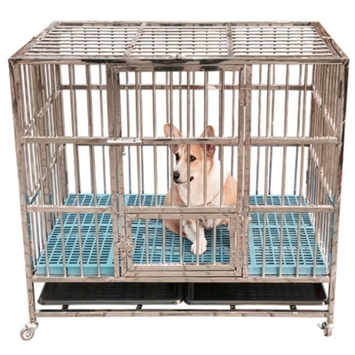 Grande cage pliable en acier inoxydable pour chiens sans motif et fermeture en poussée